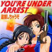 You are Under Arrest in America