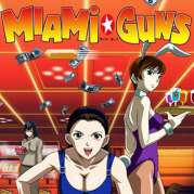 Miami Guns