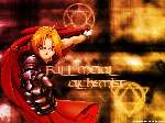 FullMetalAlchemist08.jpg